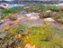 "Living rocks": Stromatolite tide pool in South Africa. © Daniel Petras
