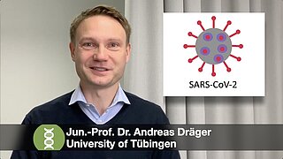 Computer-Model Reveals Potential Target for Therapies of COVID-19